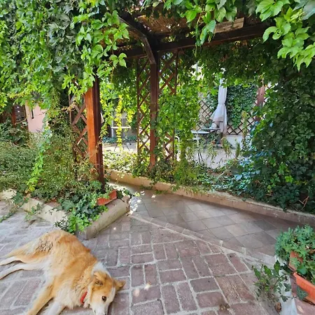 Flavia Nocleg ze śniadaniem 4*