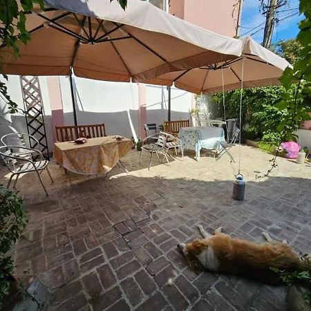 Bed & Breakfast Flavia Constanta