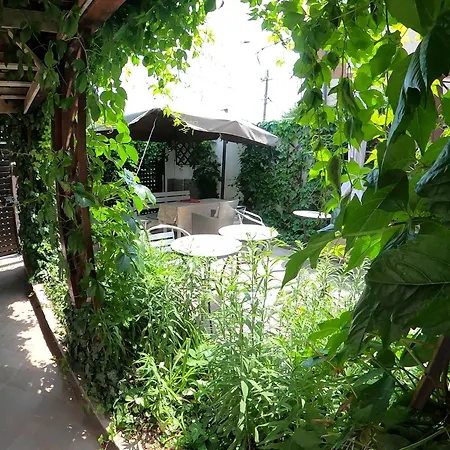 Flavia 3* Constanta