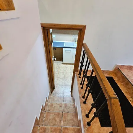 Flavia 4* Konstanca
