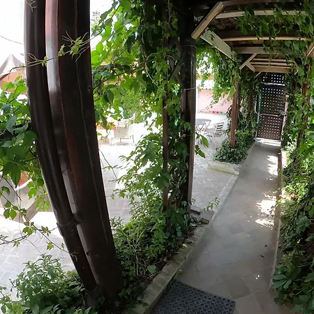 Flavia 4* Κονστάντζα