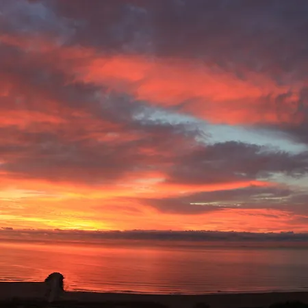 Flavia Bed and Breakfast Κονστάντζα