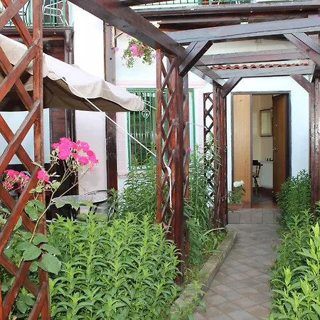 Flavia 4* Констанца