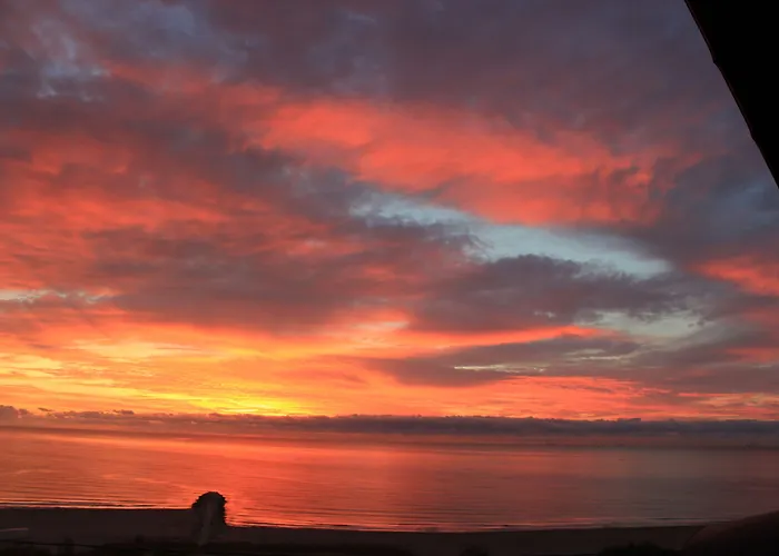 Flavia Couette-café Constanţa